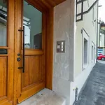 Апартаменты Franjevacka